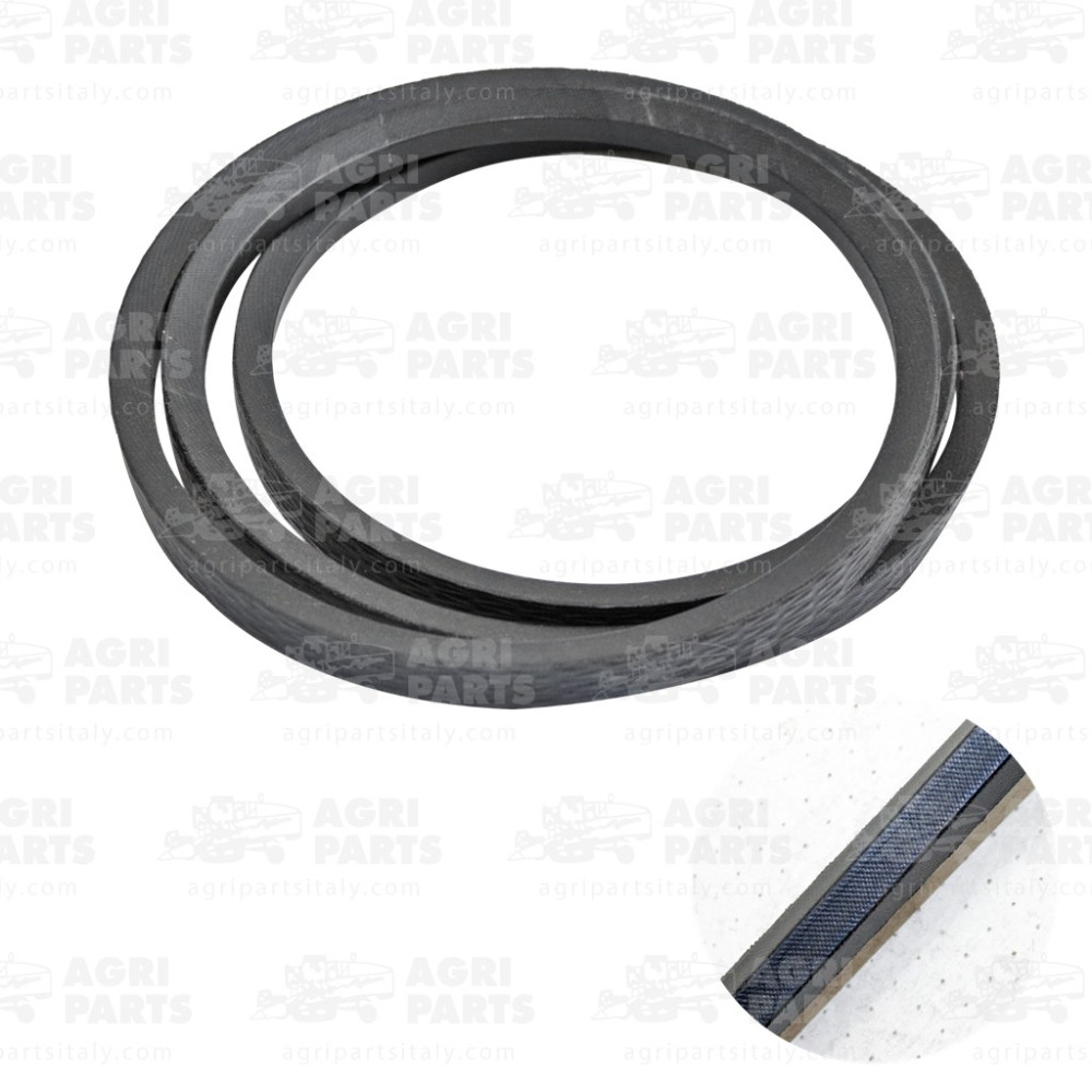 19AP013498 - RIEMEN - 19AP013498