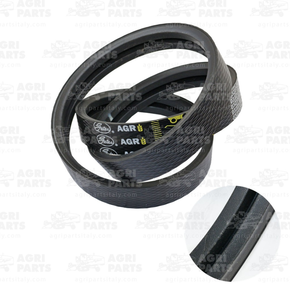 19AP013501 - RIEMEN - 19AP013501