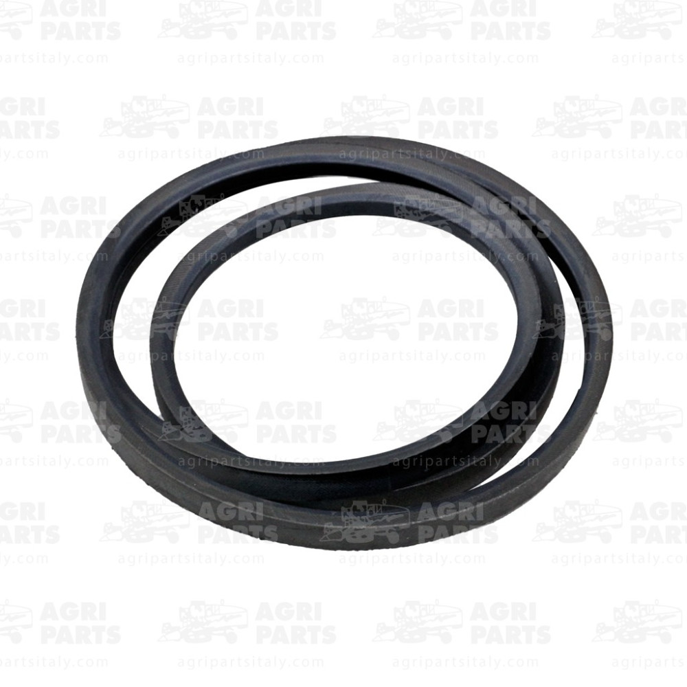 19AP013504 - CINGHIA - 19AP013504