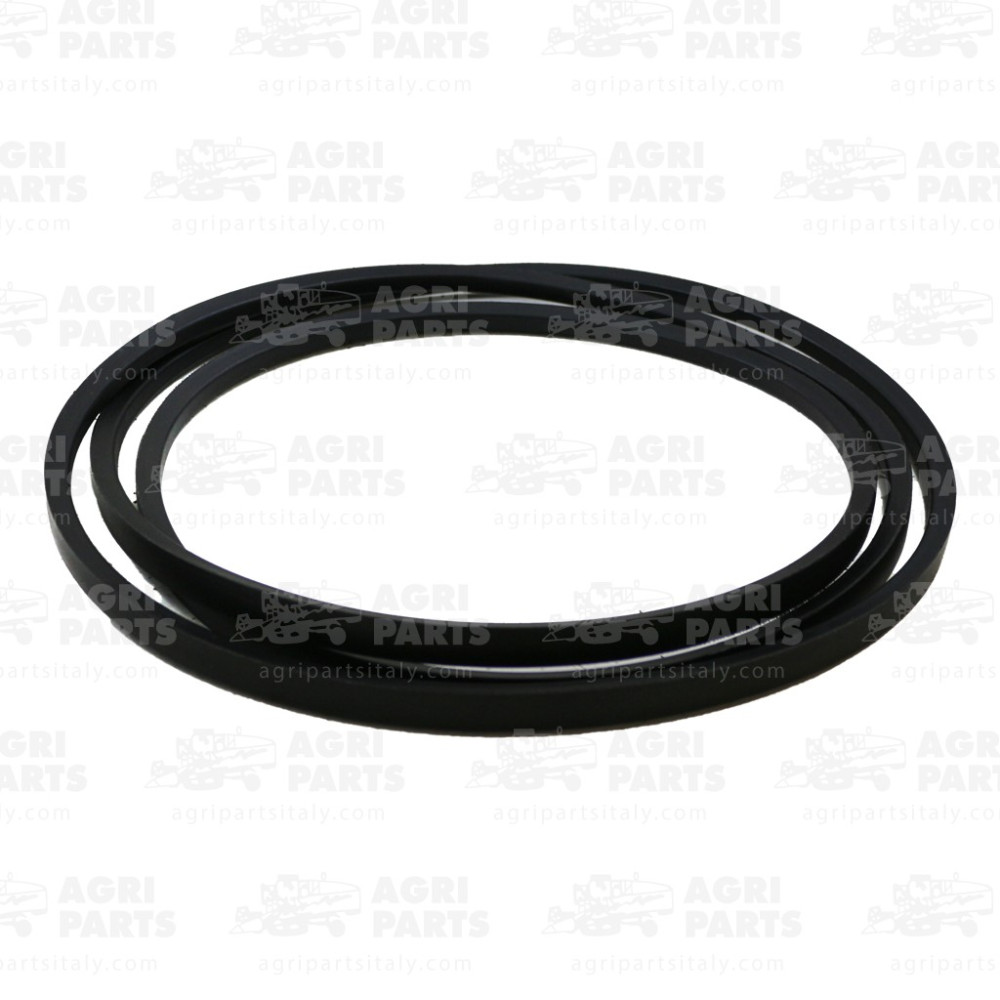 38357T1 - CINGHIA - 038357T1AG