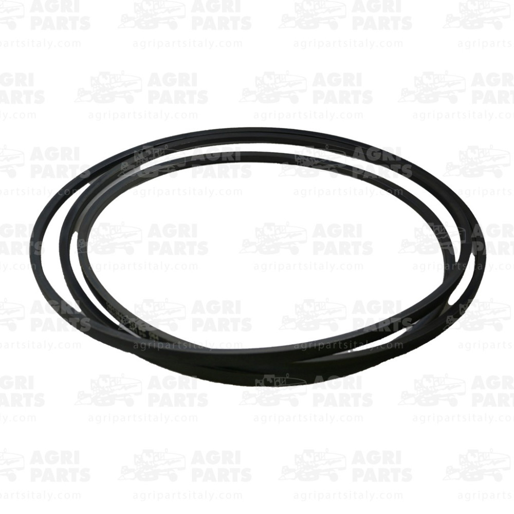 19AP013506 - CINGHIA - 19AP013506