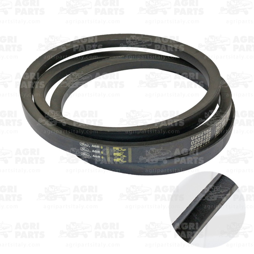 19AP013507 - CINGHIA - 19AP013507