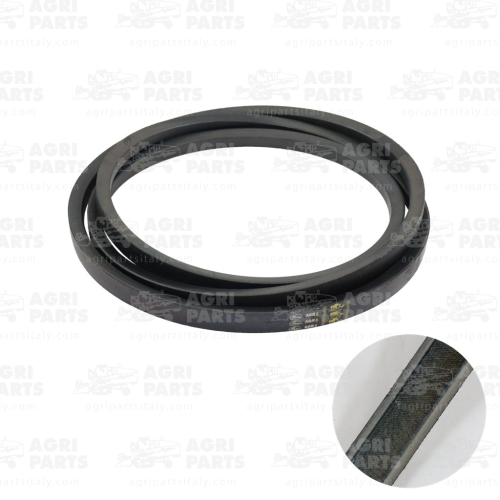 19AP013509 - CINGHIA - 19AP013509