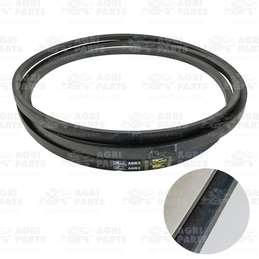 19AP013524 - COURROIE - 19AP013524