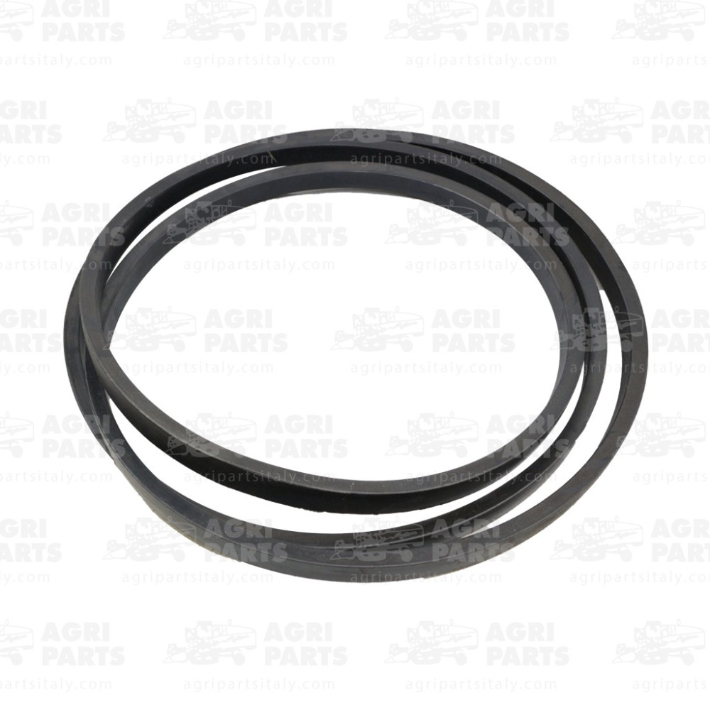 19AP013526 - RIEMEN - 19AP013526