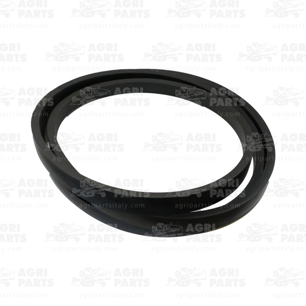 19AP013538 - COURROIE - 19AP013538