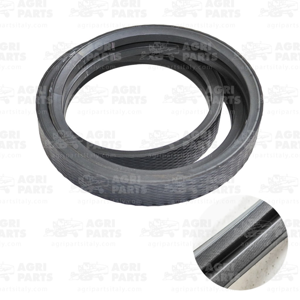 19AP013546 - CINGHIA - 19AP013546