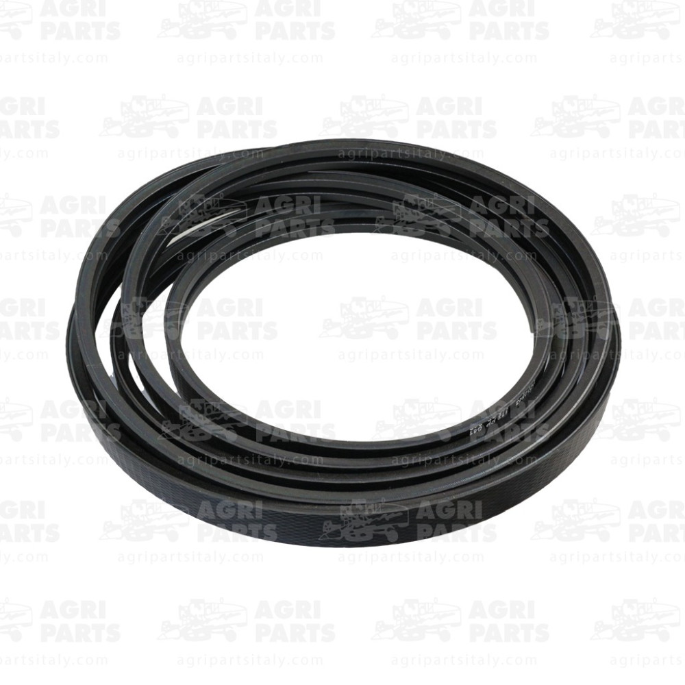 19AP013552 - CINGHIA - 19AP013552