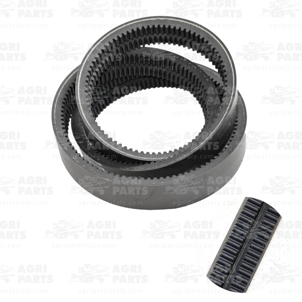 19AP013565 - RIEMEN - 19AP013565