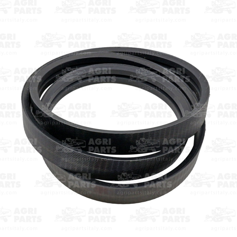 19AP013571 - CINGHIA - 19AP013571