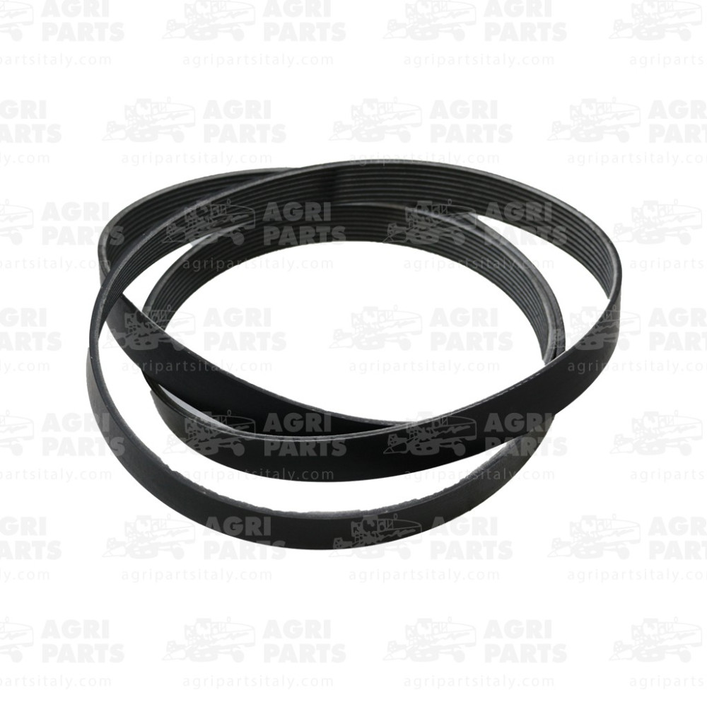 19AP013604 - CINGHIA - 19AP013604