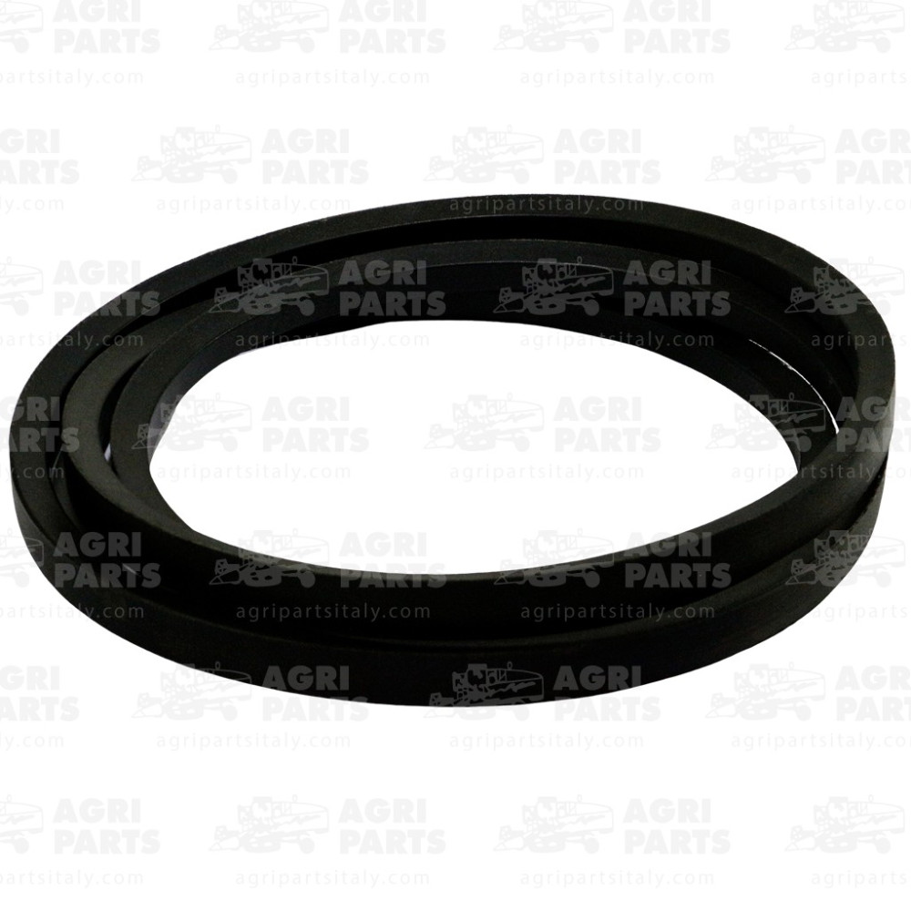 19AP013616 - CINGHIA - 19AP013616