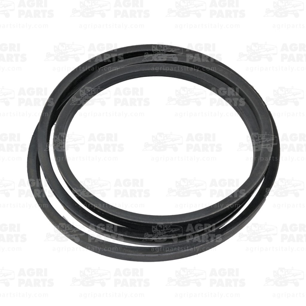 19AP013617 - COURROIE - 19AP013617