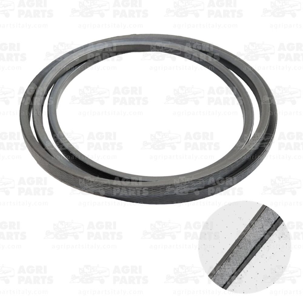 19AP013618 - CINGHIA - 19AP013618