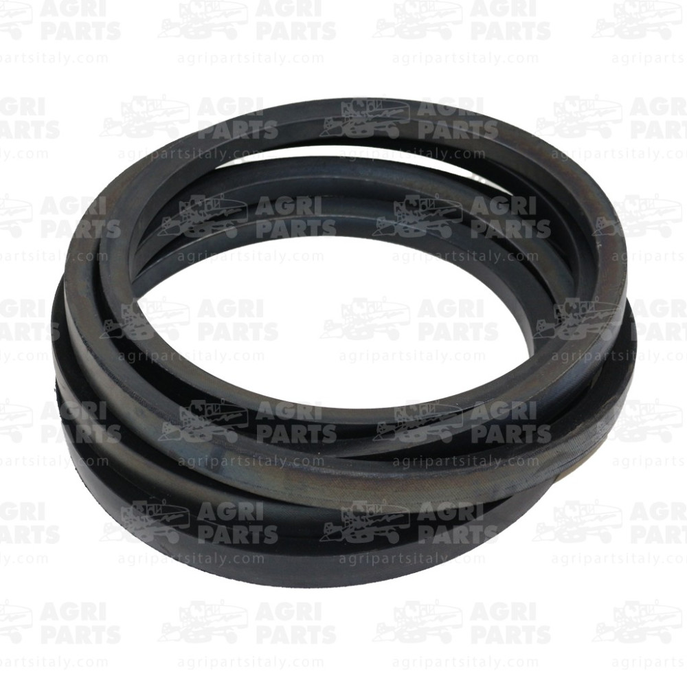 19AP013619 - COURROIE - 19AP013619