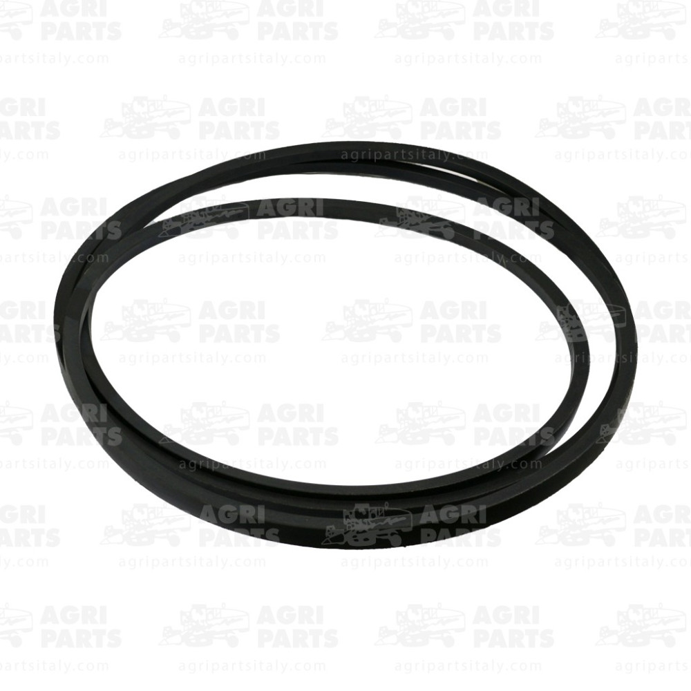 19AP013621 - CINGHIA - 19AP013621