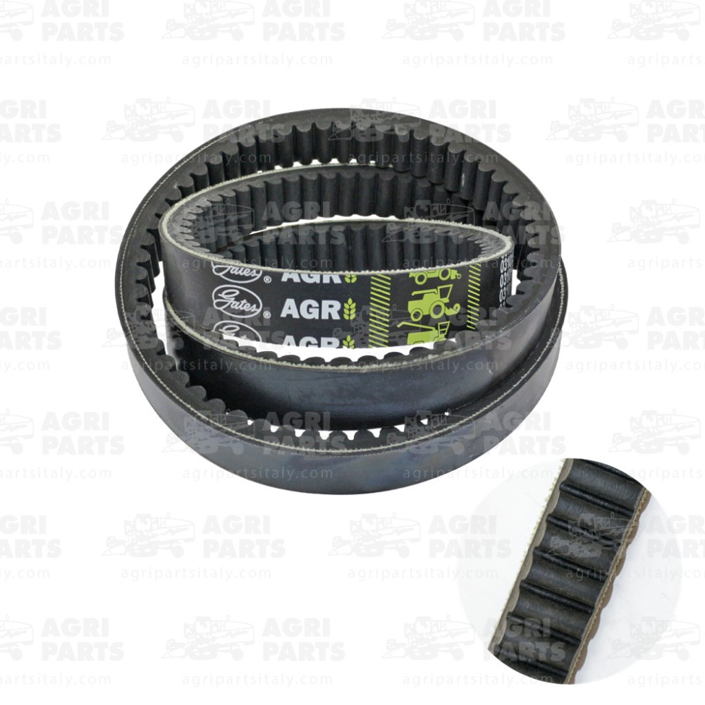 19AP013627 - RIEMEN - 19AP013627