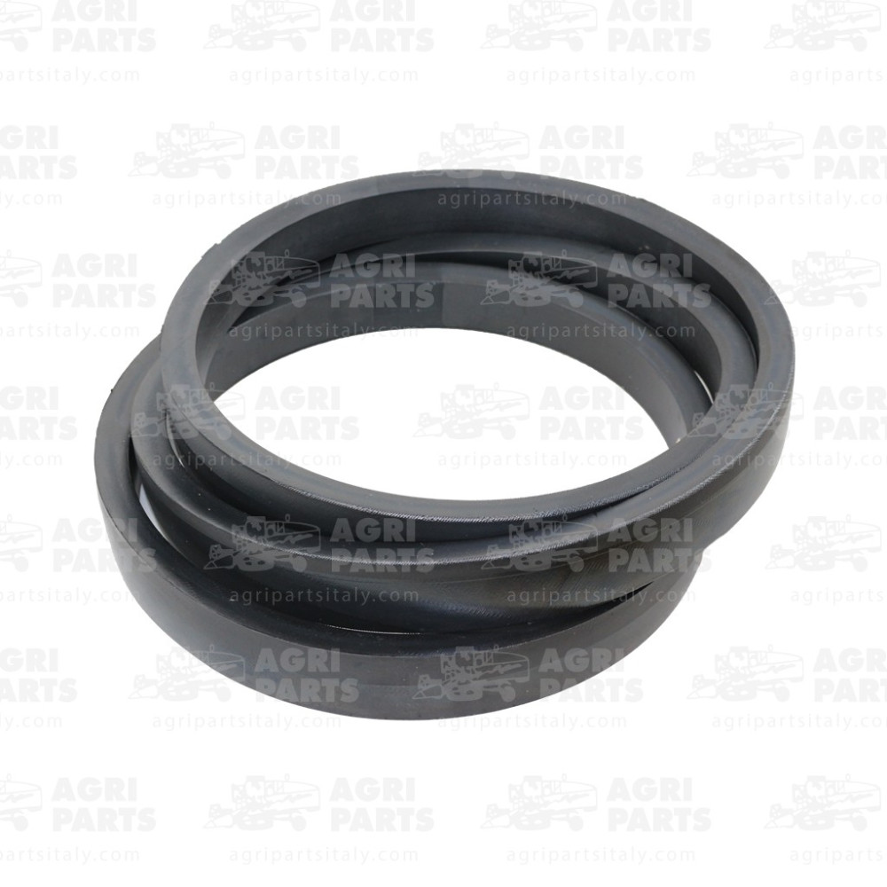 19AP013630 - CINGHIA - 19AP013630