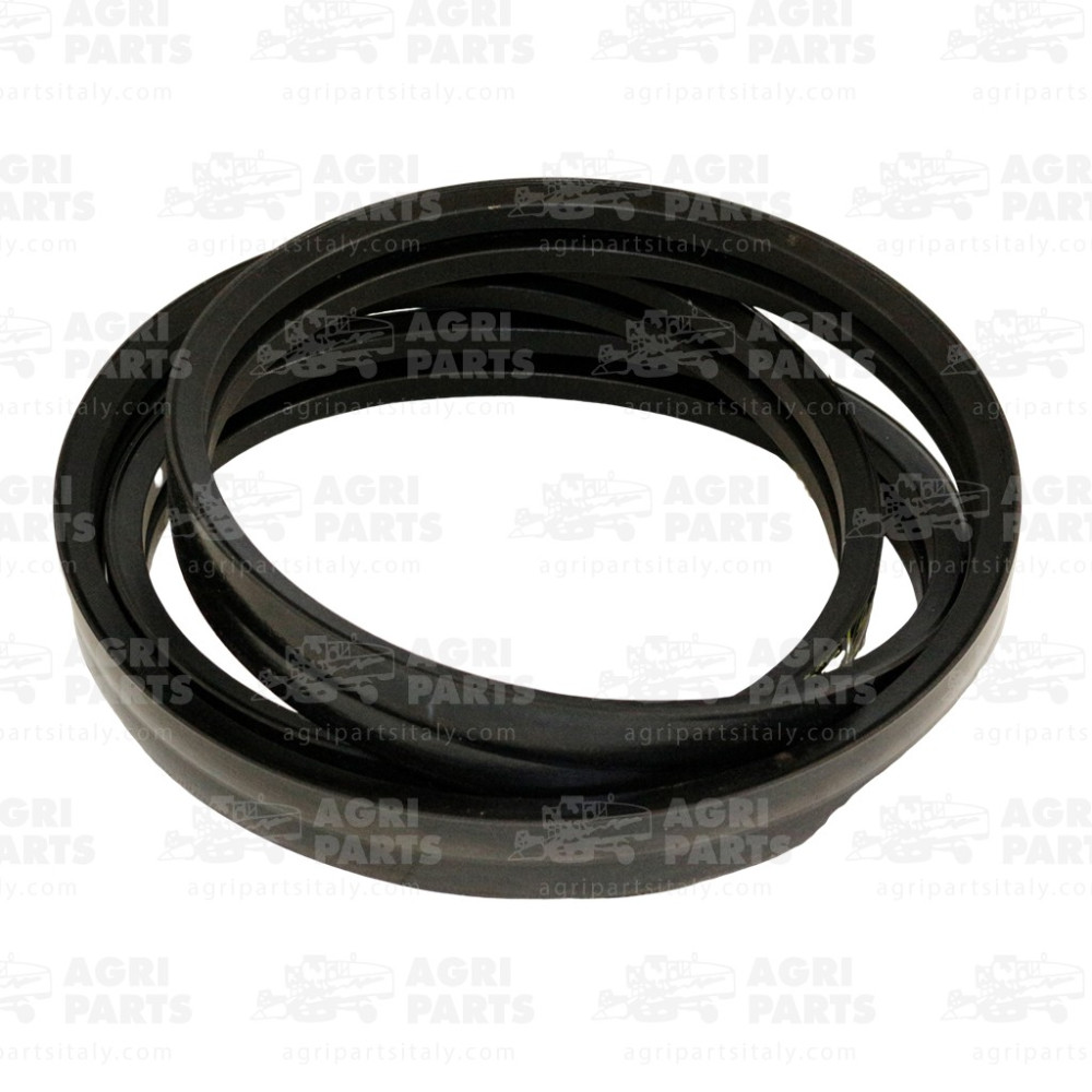 18076050 - CINGHIA - 0018076050CL