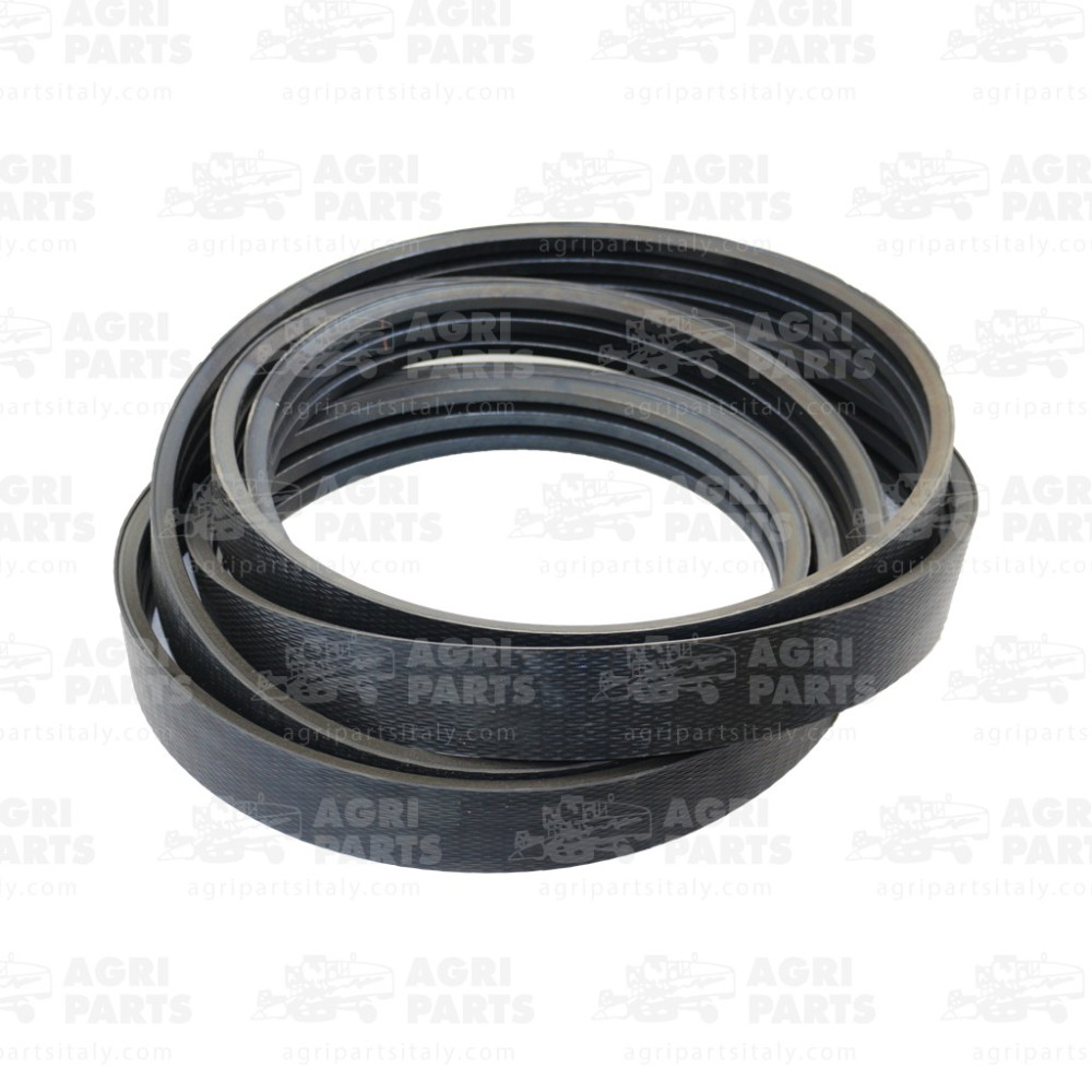 19AP013650 - CINGHIA - 19AP013650