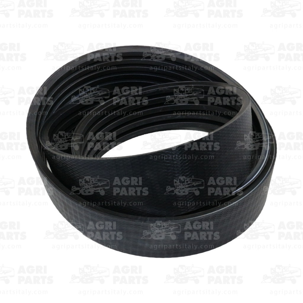 19AP013656 - CINGHIA - 19AP013656