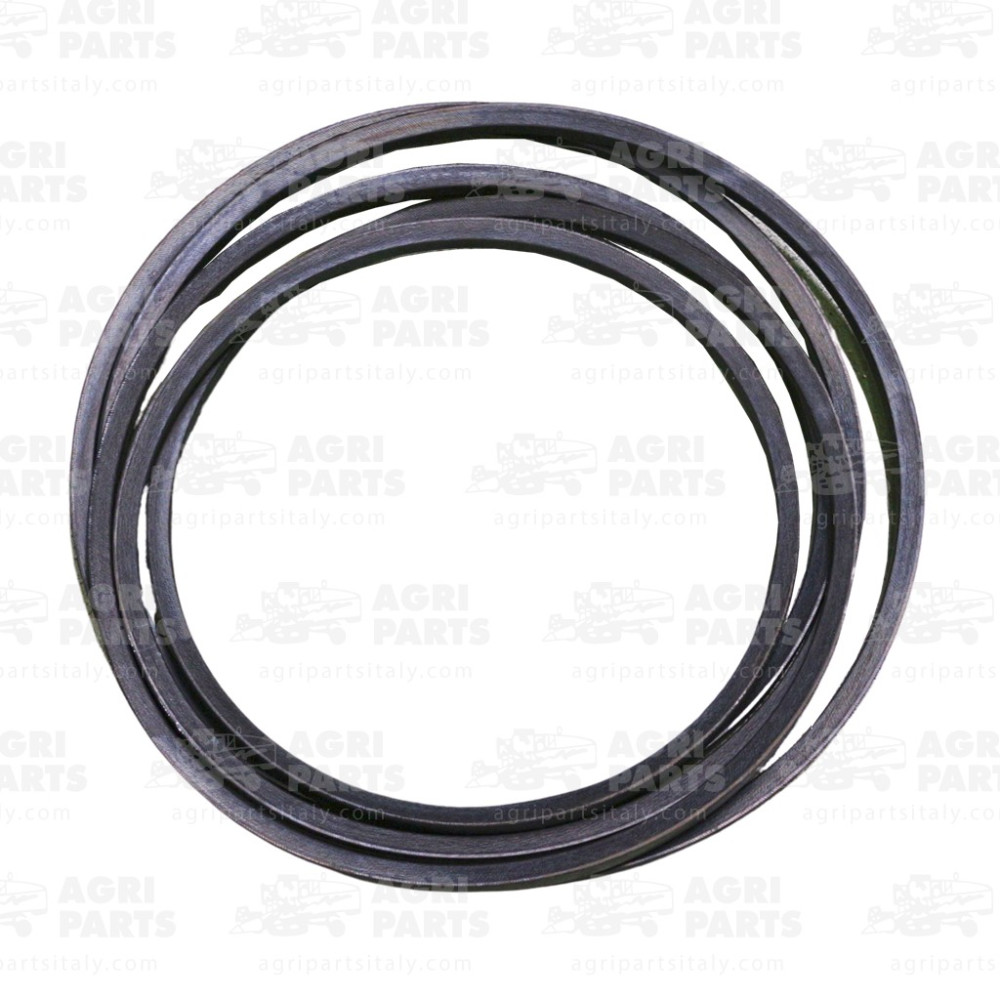 84172256 - CINGHIA - 84172256CNH