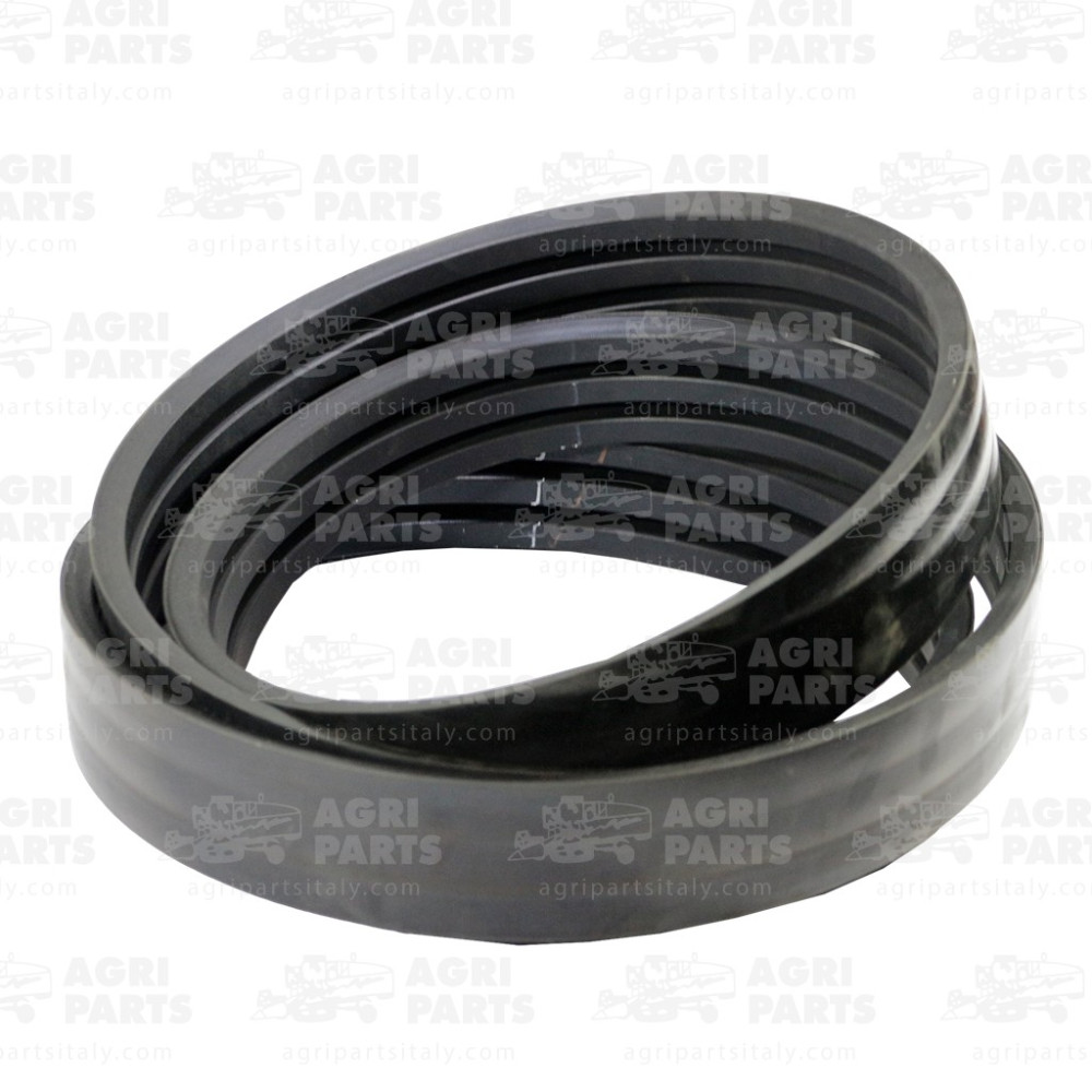 19AP013704 - CINGHIA - 19AP013704