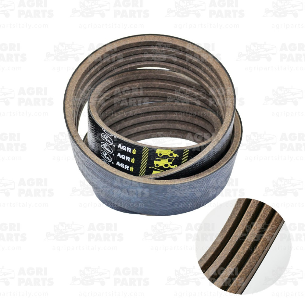 19AP013720 - COURROIE - 19AP013720