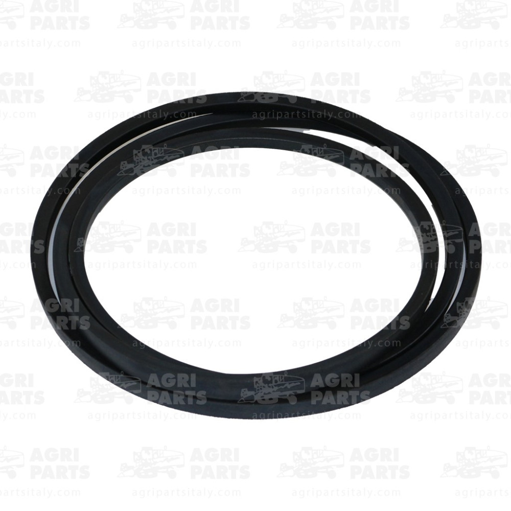 19AP013721 - CINGHIA - 19AP013721