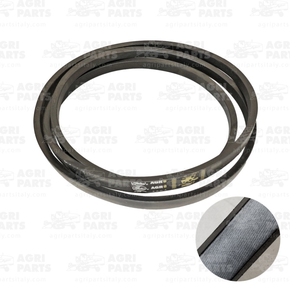 19AP013731 - COURROIE - 19AP013731