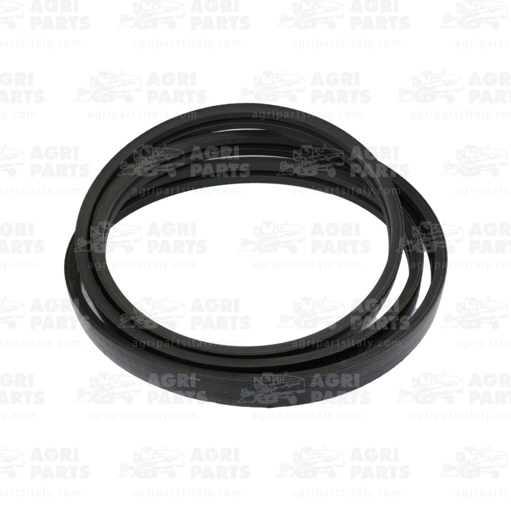 19AP013748 - RIEMEN - 19AP013748