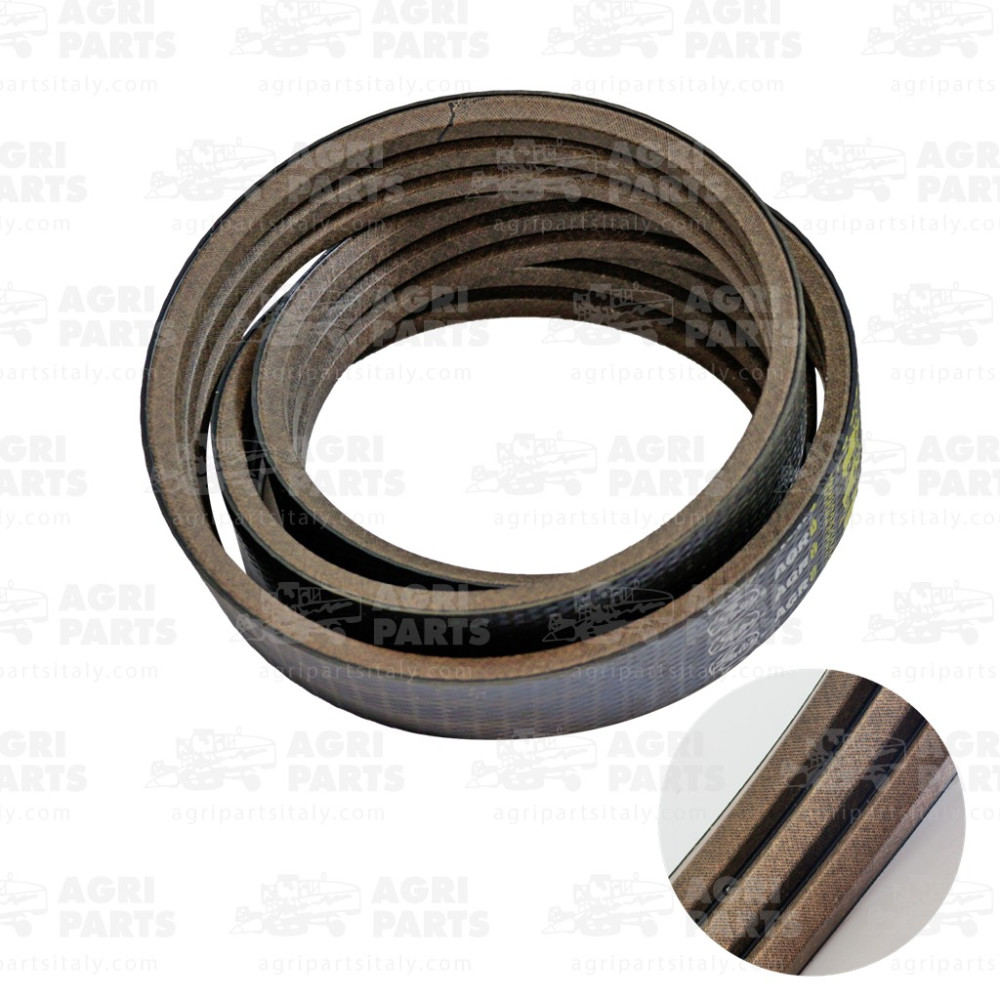 19AP013760 - CINGHIA - 19AP013760