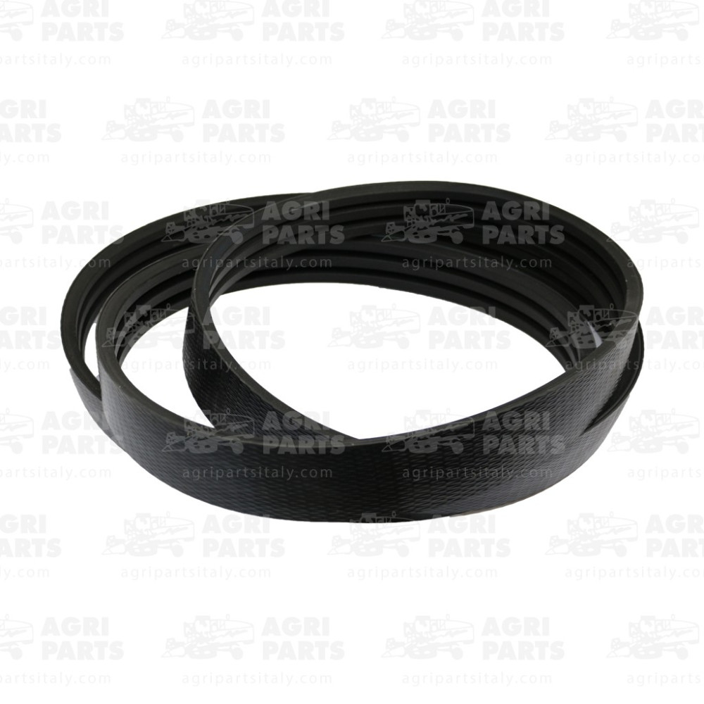 19AP013803 - CINGHIA - 19AP013803