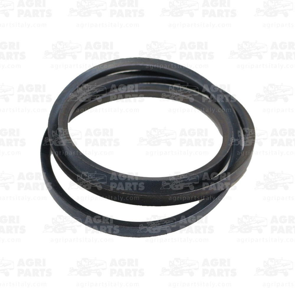 19AP013809 - CINGHIA - 19AP013809