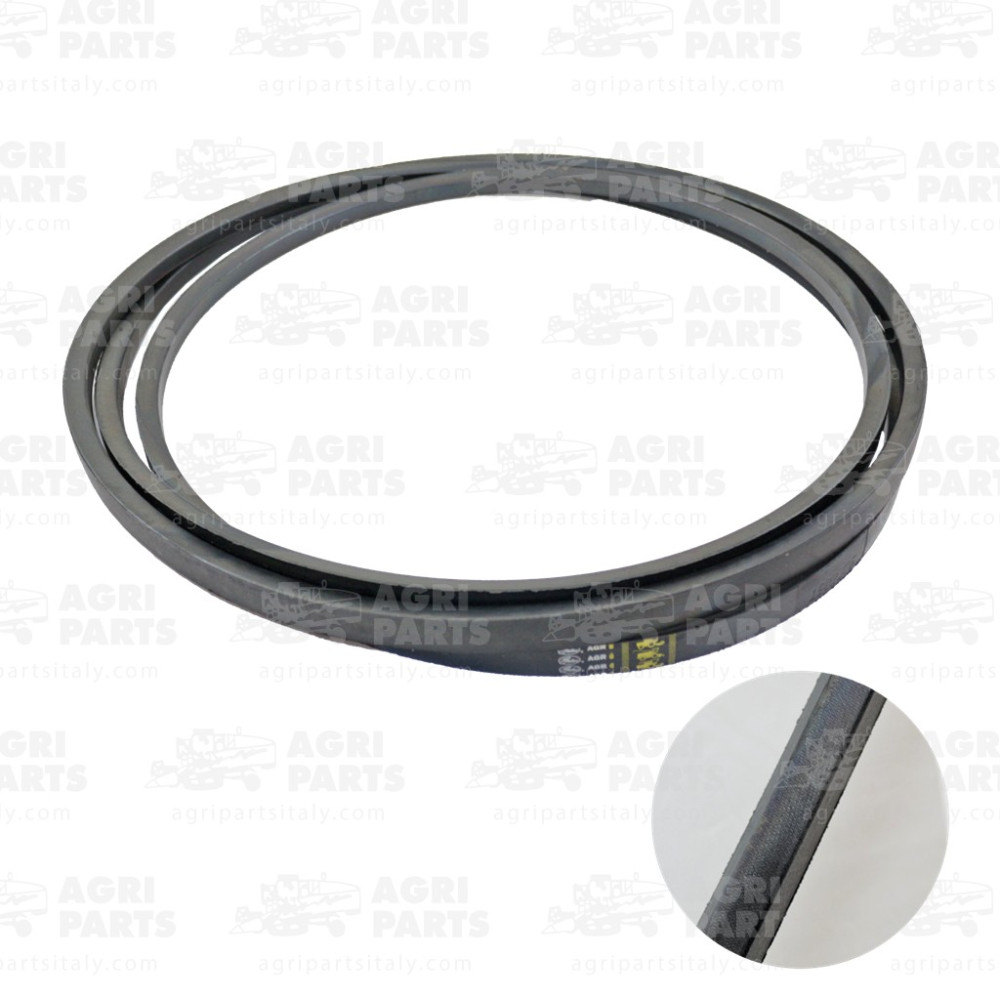 19AP013811 - CINGHIA - 19AP013811