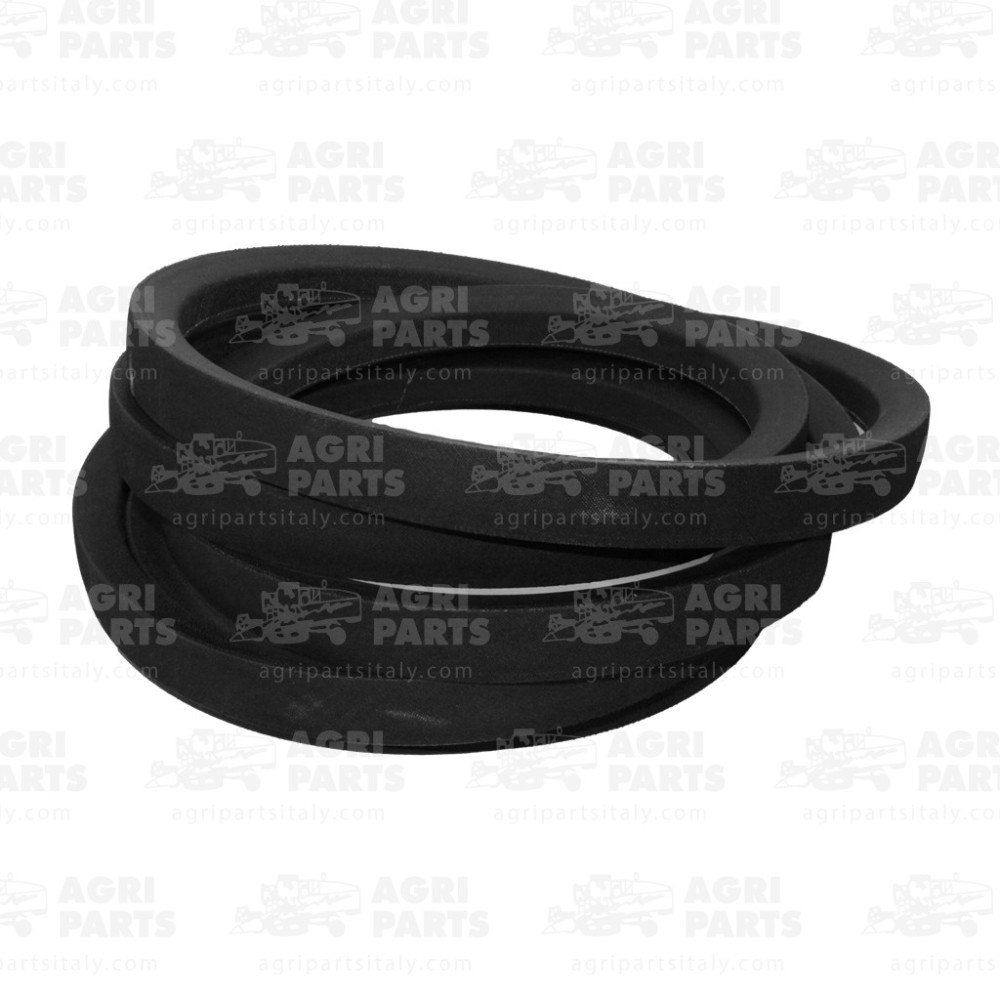 19AP013812 - RIEMEN - 19AP013812