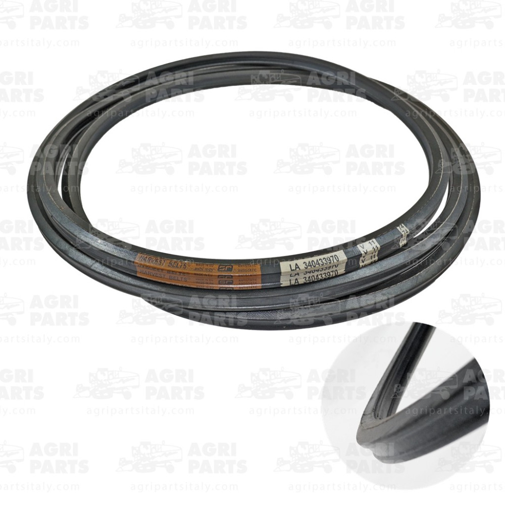 340433970 - CINGHIA - LA340433970AG