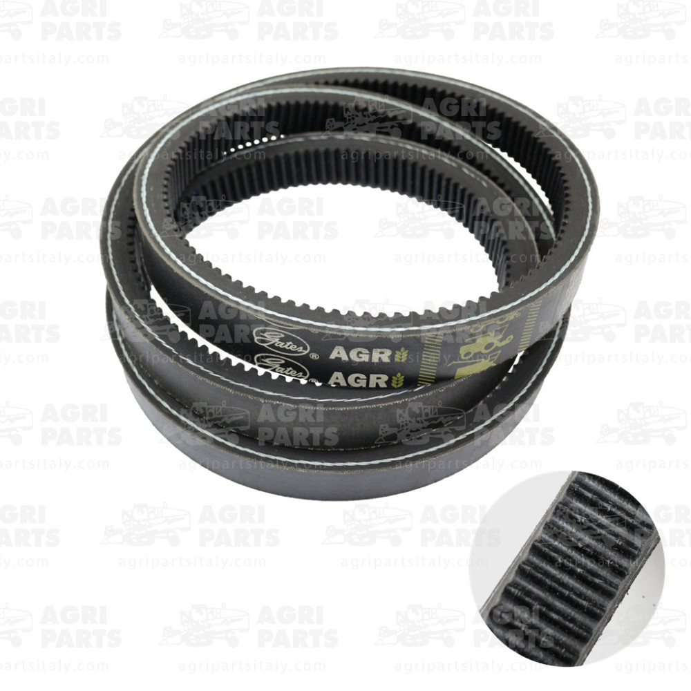 19AP013814 - RIEMEN - 19AP013814