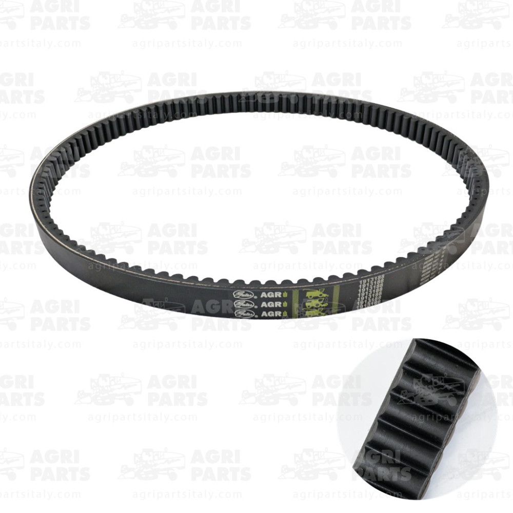 19AP013818 - COURROIE - 19AP013818