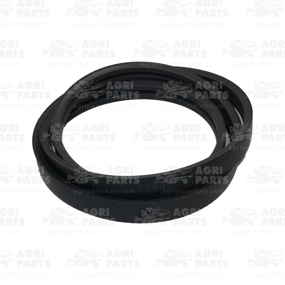 19AP013819 - COURROIE - 19AP013819