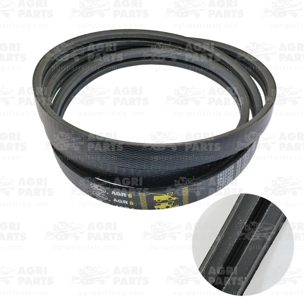 19AP013821 - COURROIE - 19AP013821