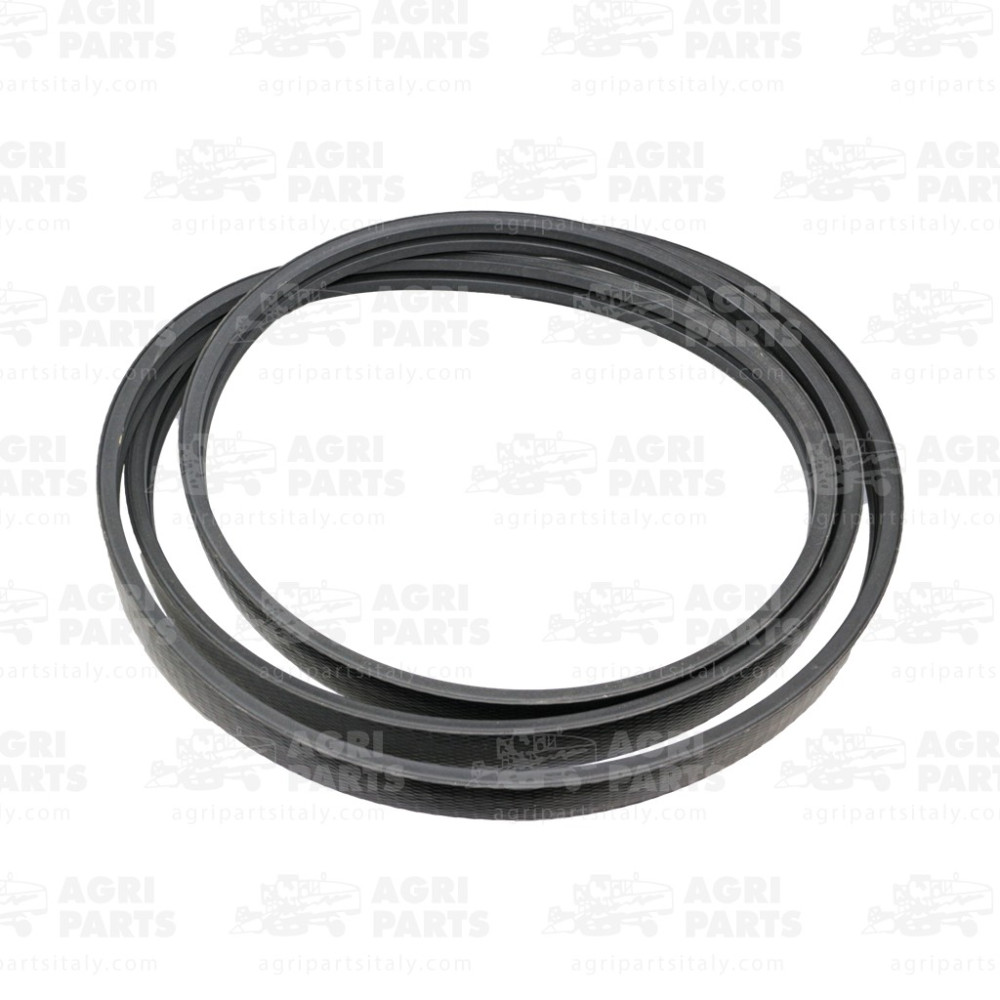 344311137 - CINGHIA - LA344311137AG