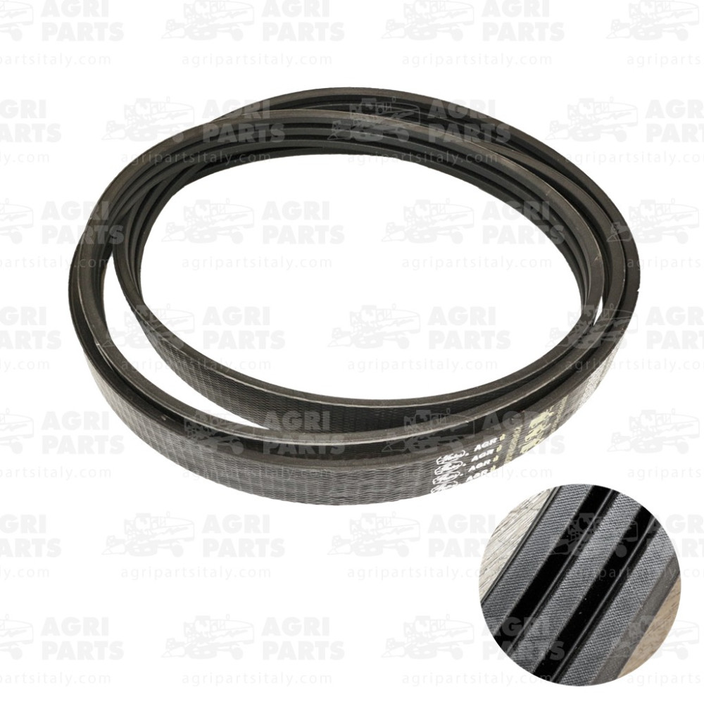 19AP013828 - CINGHIA - 19AP013828