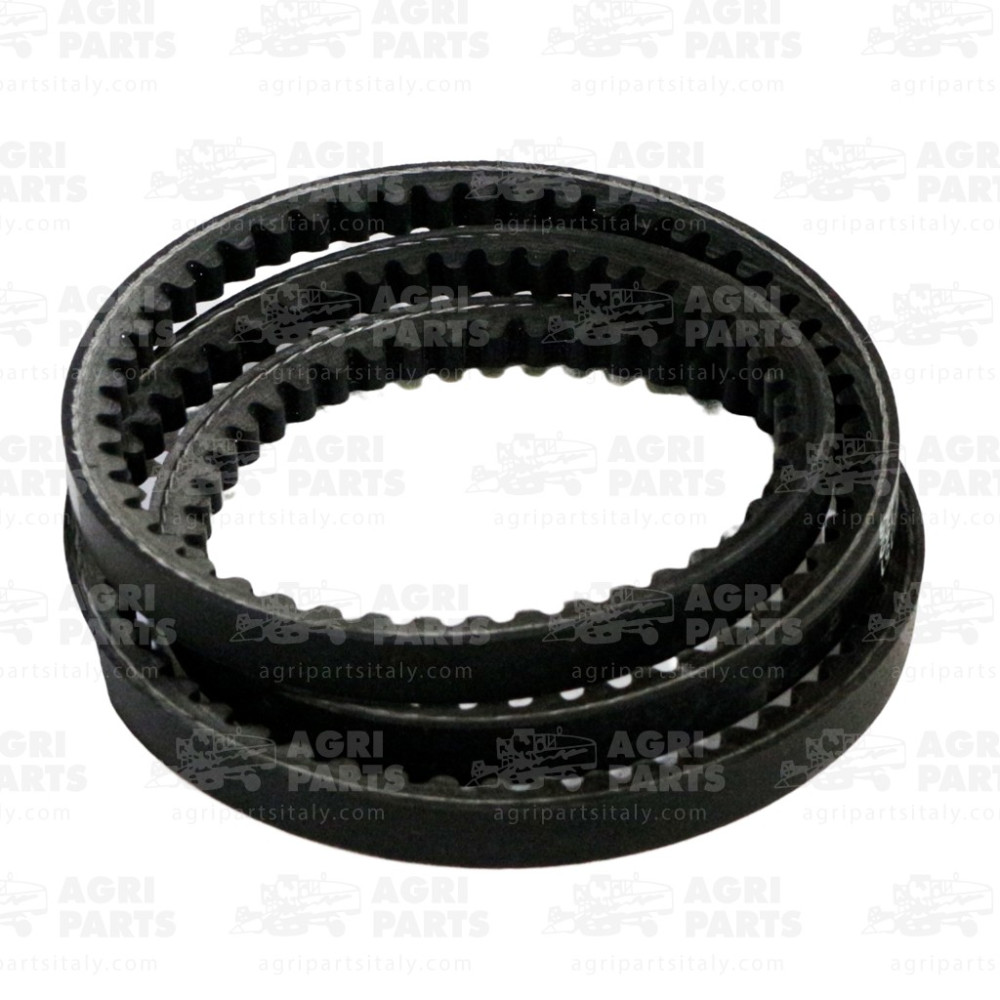 19AP013870 - COURROIE - 19AP013870