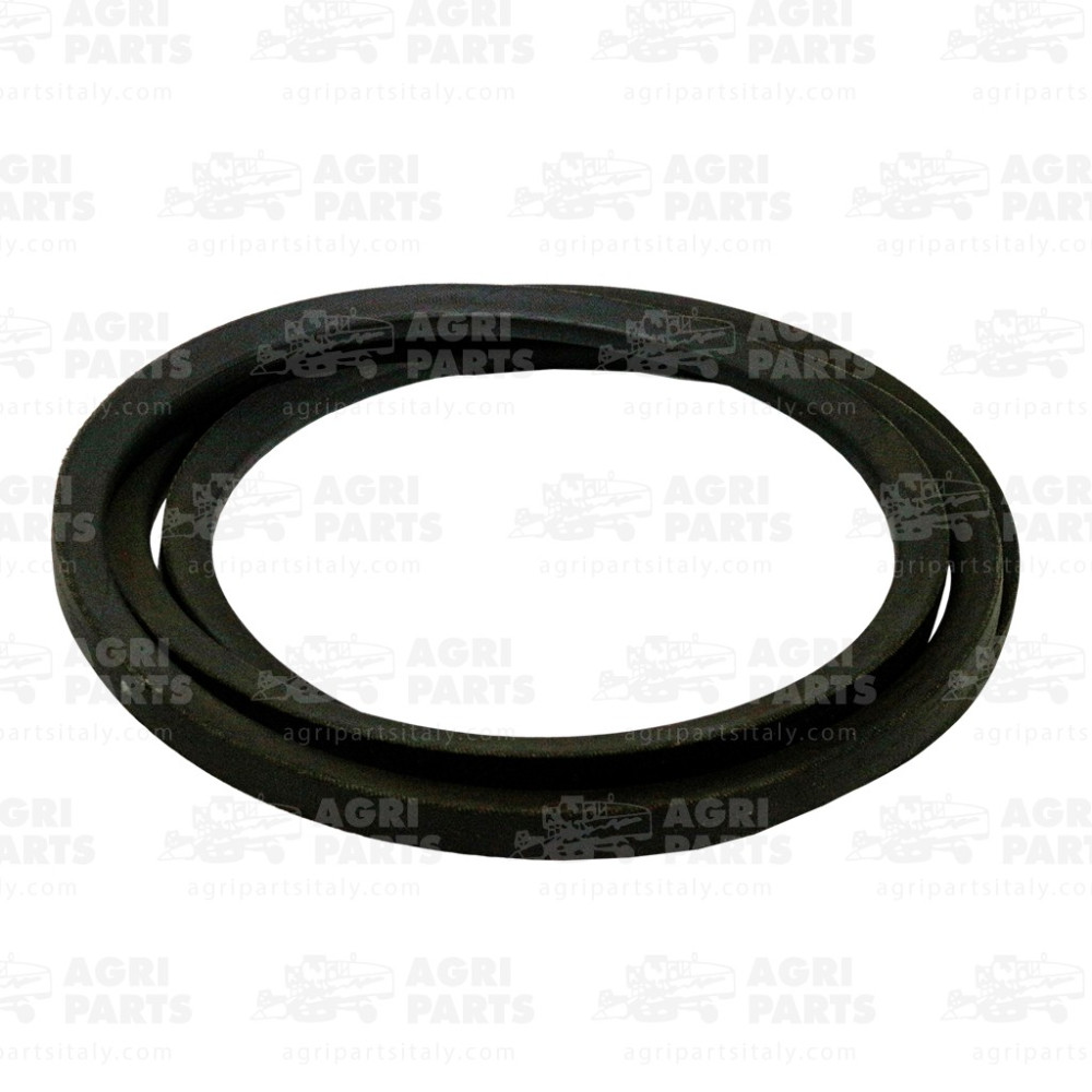 19AP014314 - RIEMEN - 19AP014314