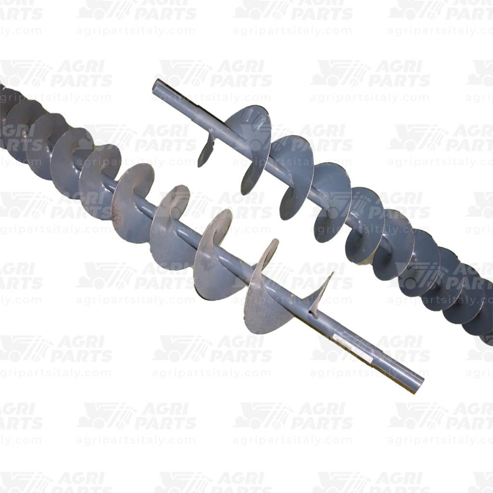 7954512 - SCHNECKE - 0007954512CL