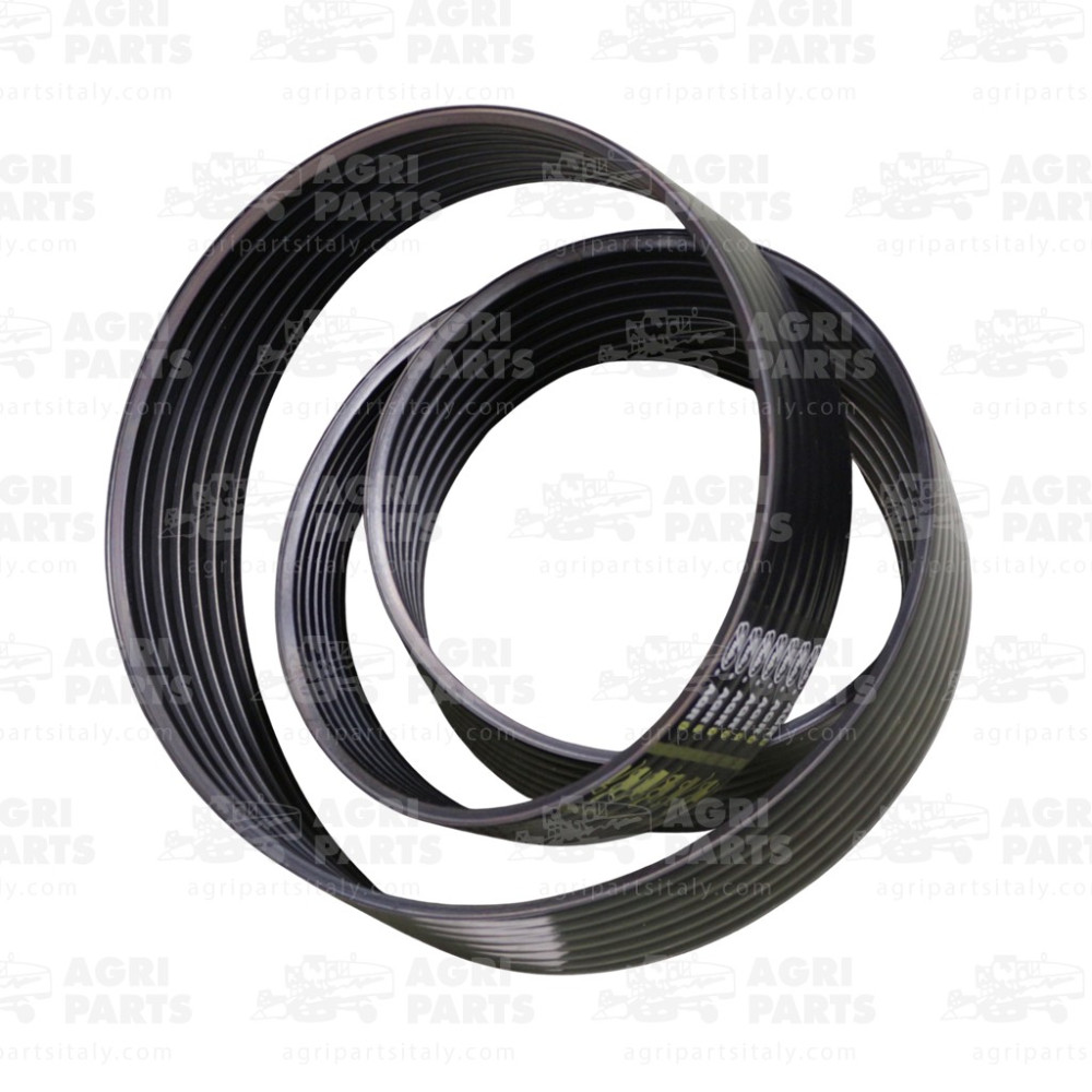 1428451 - RIEMEN - 0001428451CL