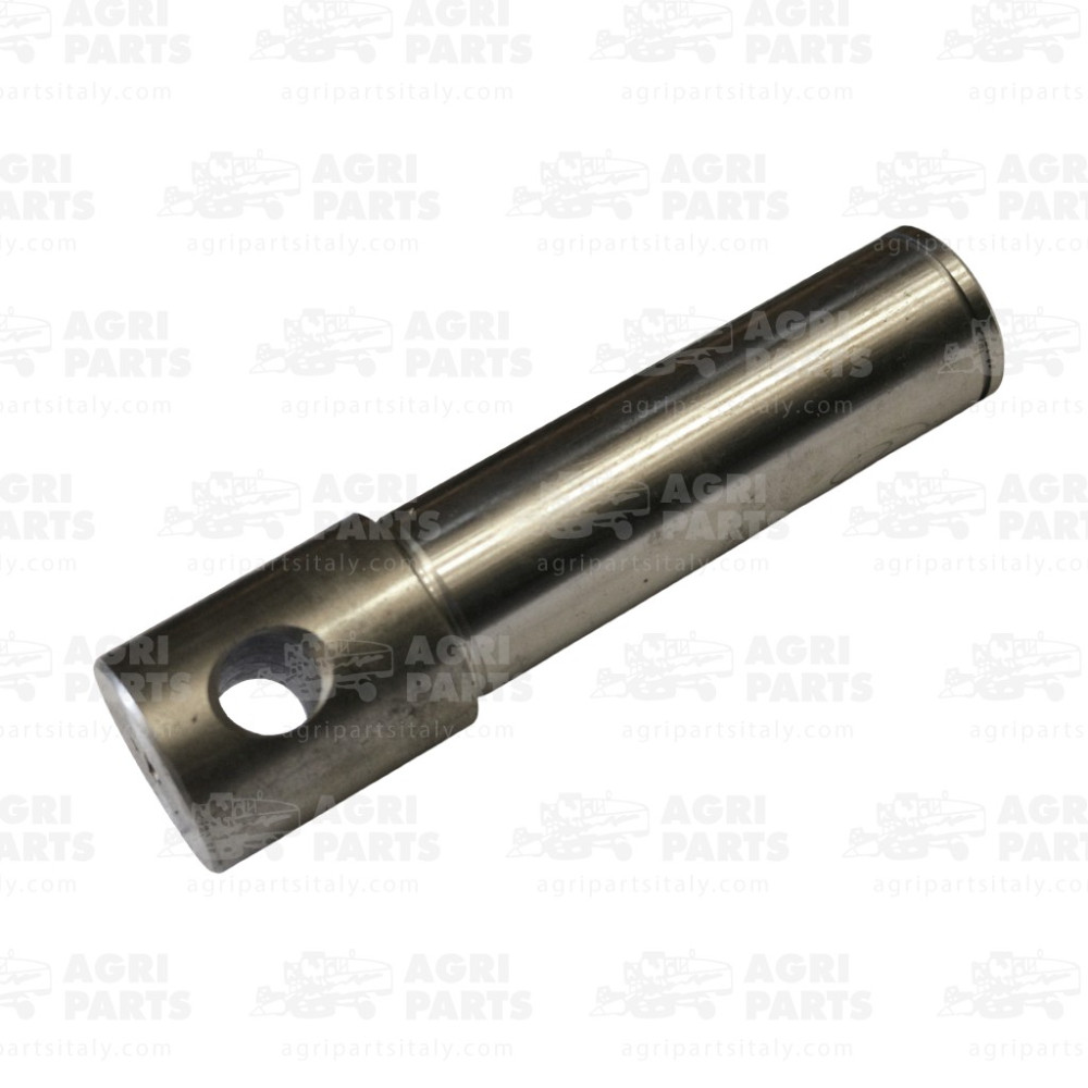 6085231 - ZAPFEN - 0006085231CL