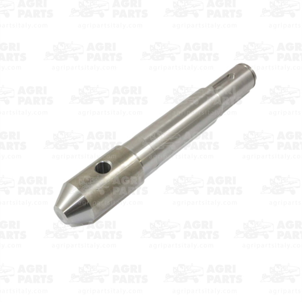 6085271 - ARBRE - 0006085271CL