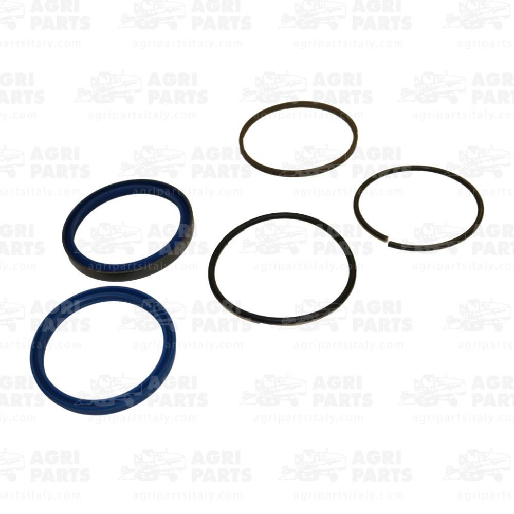 251811A1 - KIT DICHTUNG - 251811A1CNH